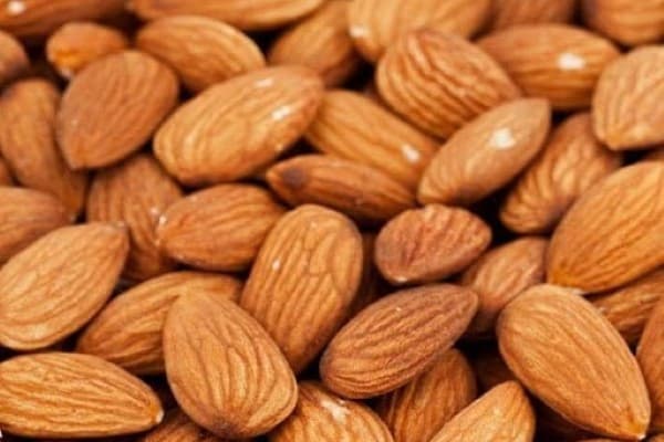 تصویر 2 از قیمت و خرید مغز بادام درختی شاهرودی + فروش ارزان
